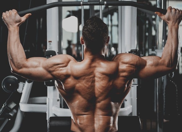gym guy on steroids