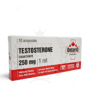 Testosterone-Enanthate Shop Testosterone Enanthate