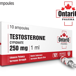 Buy Testosterone-cypionate