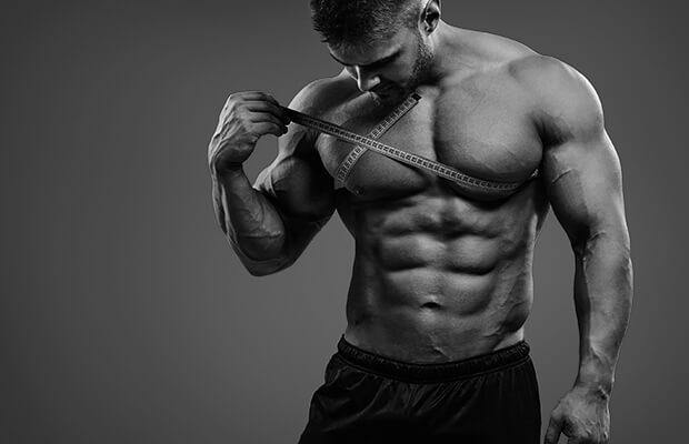 muscle growth supplement