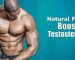 natural testosterone boosters